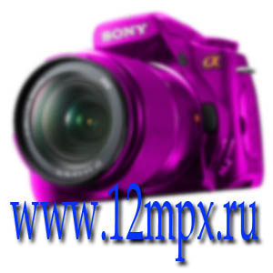 Услуги фотографа. Услуги фотографа Москва.