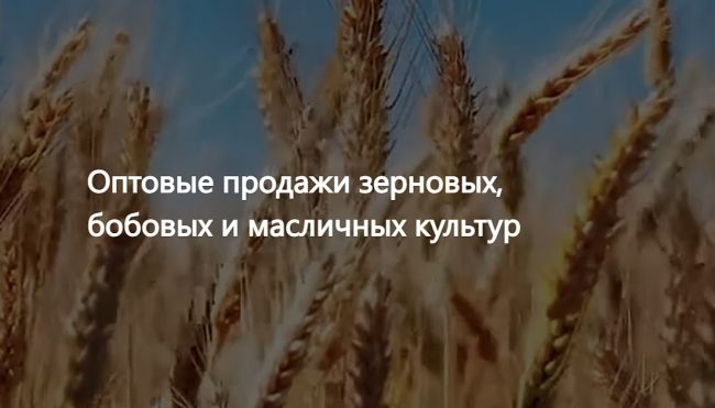 Оптовая реализация продуктов питания экспорт