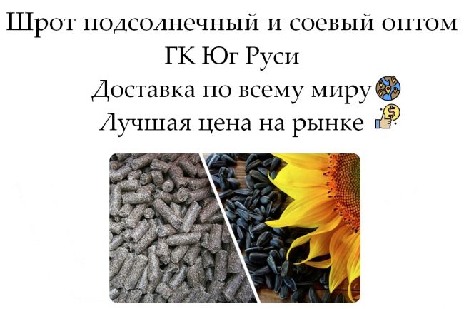Шрот подсолнечный и соевый оптом от ГК Юг Руси